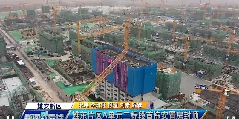 焦點(diǎn)！大將軍驚艷亮相雄安德維斯建博會(huì)，流量爆棚引圍觀！(圖7)